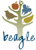 beagle pályázat