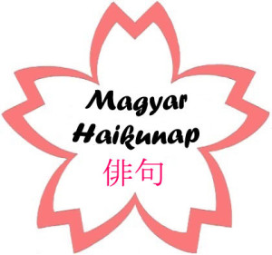 haiku_nap2014