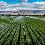 A mezőgazdasági vízgazdálkodási ágazat fejlesztése
